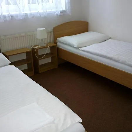 Lada Nová Bystřice