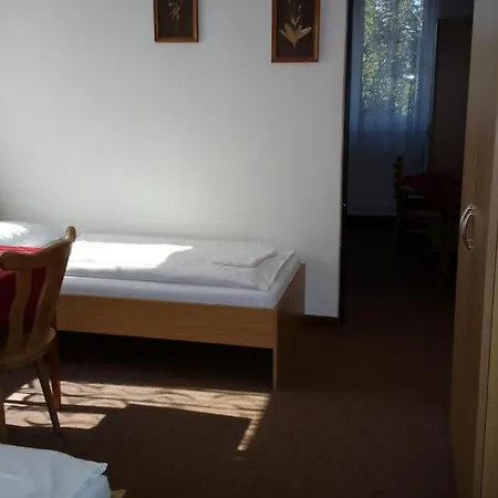 Lada Nová Bystřice