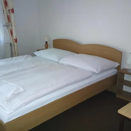 Lada Penzion Nová Bystřice