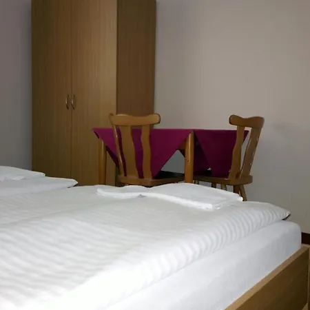 Lada Penzion Nová Bystřice