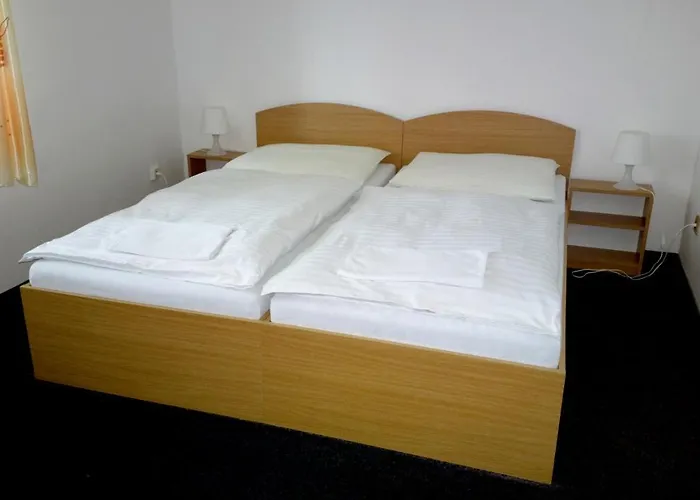 Lada Nová Bystřice